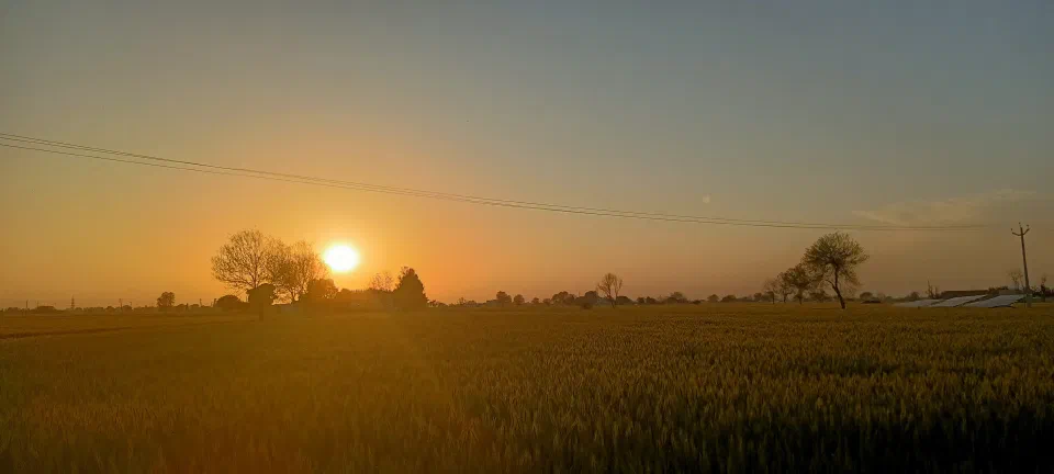 The setting sun above fields and silhouetted trees